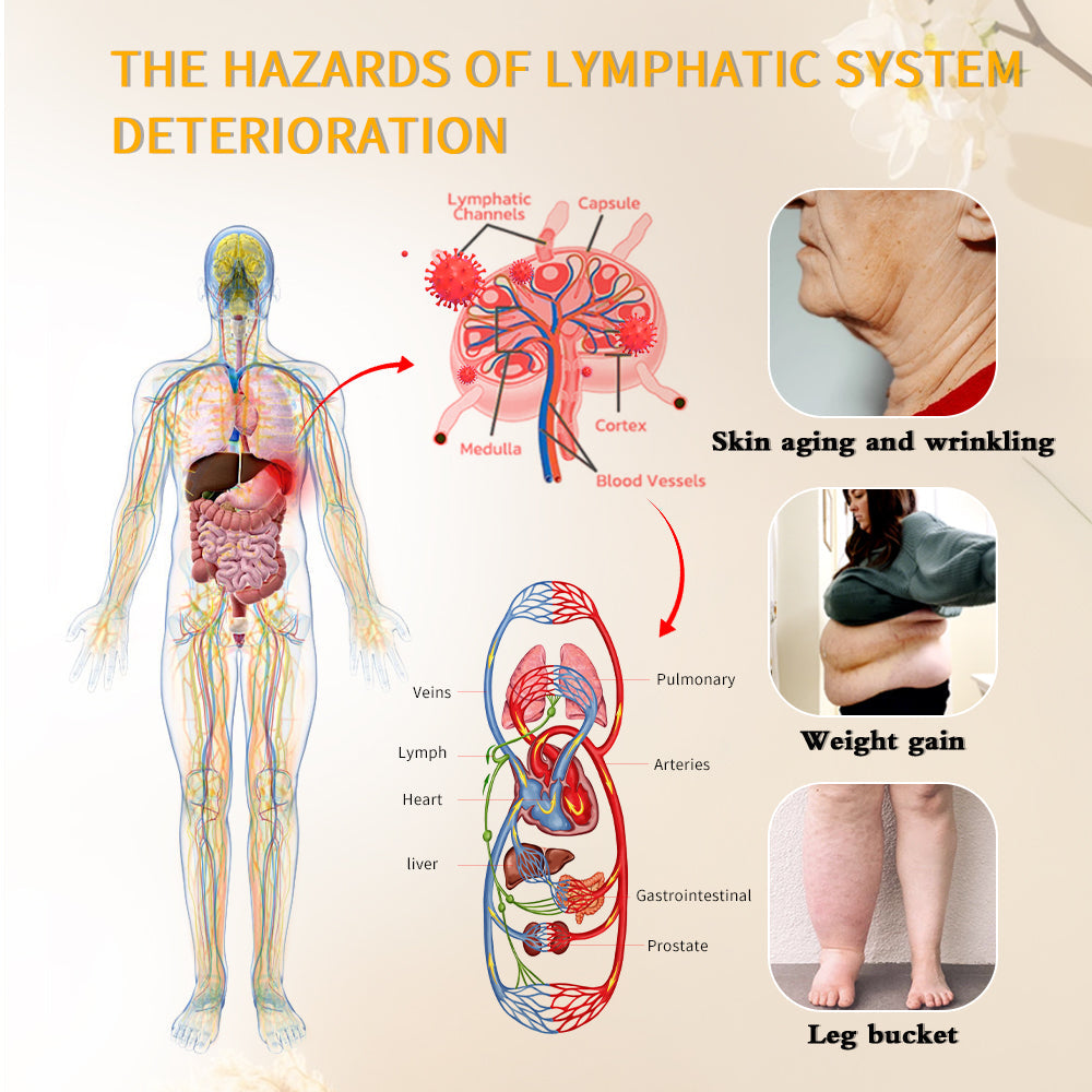 🐝 AAFQ™ Bienengift-Lymphdrainage-Schlankheitsseife🔥 (für alle Lymphprobleme und Fettleibigkeit)